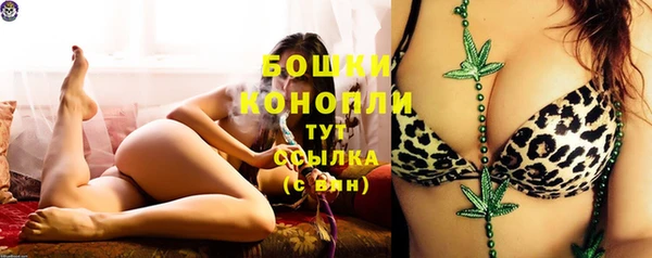 сатива Костерёво